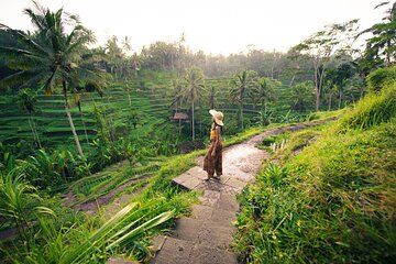 Experience Bali in 3 Days with Temples Beaches & Waterfalls