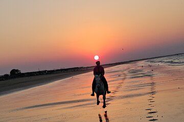 Private Horseback Riding in Muscat Beach