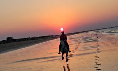 Private Horseback Riding in Muscat Beach