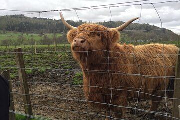 Greenock Private Shore Trip