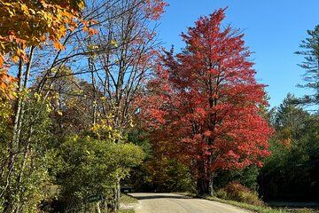 Signature Vermont Wayfinders Private Guided Tour