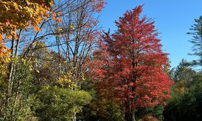 Signature Vermont Wayfinders Private Guided Tour