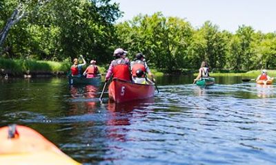 Mersey River Quickie Adventure - 2 Hours