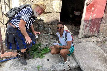 Discovery of Reed History Culture and Urban Plants