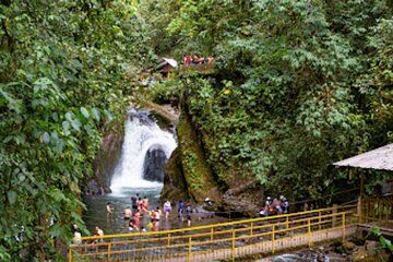 Mindo Cloud Forest Private Tour Nature wildlife Experience