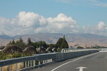 Picton & Blenheim Scenic Tour