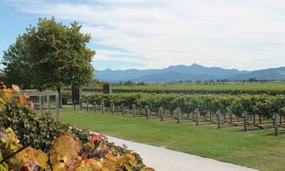 Marlborough Classic Wine Tasting Tour.
