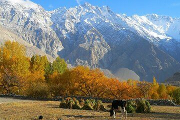 16 Days North Pakistan Autumn Tour Book Now 2025-26