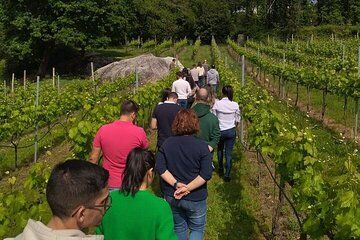 Wine tour at Mosteiro de Tibães with an exclusive wine tasting