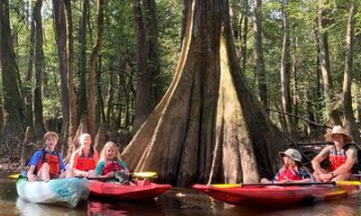 Guided Congaree National Park Kayak Tour