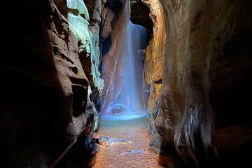 Eco Walk to the Park of Andorinhas