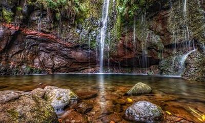 Madeira Rabacal Twenty Five Fontes Plus Fanal Forest
