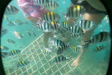 Explore Gili Nanggu Gili Sudak and Gili Kedis in a Day