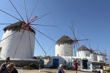 Mykonos Half Day Private Shore Excursion
