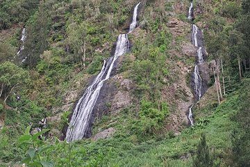 Private Day Circus Of Salazia