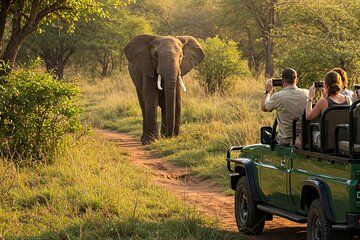 Full Day Kruger Safari from Maputo Open Backed Safari Vehicle