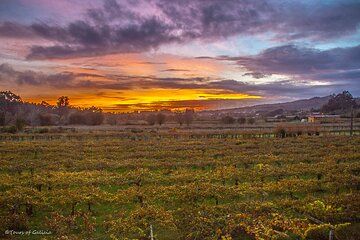 Albariño Wine Exclusive Private Tour, views & Michelin Star lunch