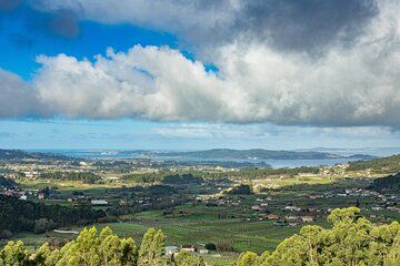 Albariño Wine Exclusive Private Tour, views & Michelin Star lunch