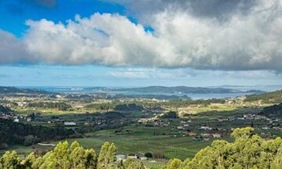 Albariño Wine Exclusive Private Tour, views & Michelin Star lunch