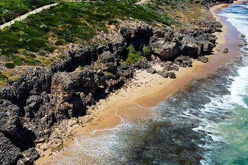 Seascapes Ancient Forest and Coastal Serenity Wellness Tour