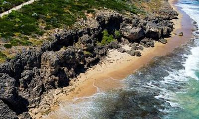 Seascapes Ancient Forest and Coastal Serenity Wellness Tour