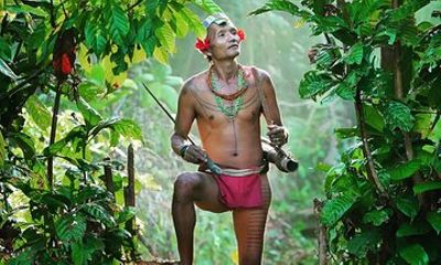 3 Days 2 Nights Siberut Jungle Trekking Mentawai Experience