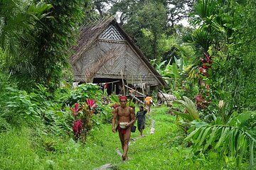 4 Days 3 Nights Siberut Jungle Trekking Mentawai Experience