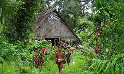 4 Days 3 Nights Siberut Jungle Trekking Mentawai Experience