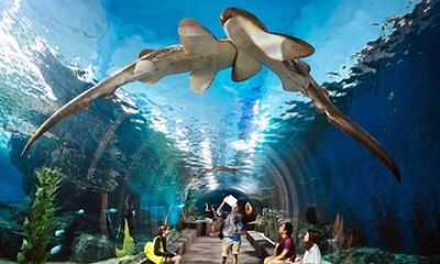 Pattaya Underwater World Admission Ticket