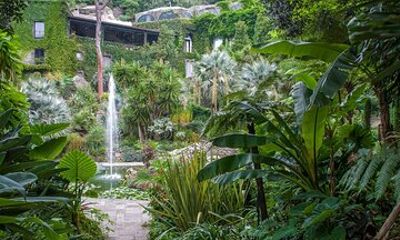 Tour Gardens La Mortella