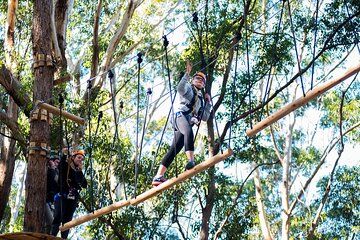 Treetops Adventure Coffs Harbour Tree Ropes Course