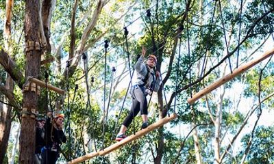 Treetops Adventure Coffs Harbour Tree Ropes Course