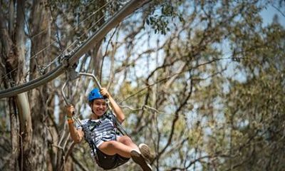 Western Sydney Zipcoaster Experience