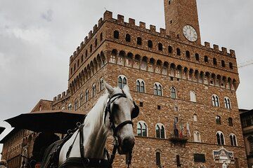 Florence 5 Hour Private City Tour
