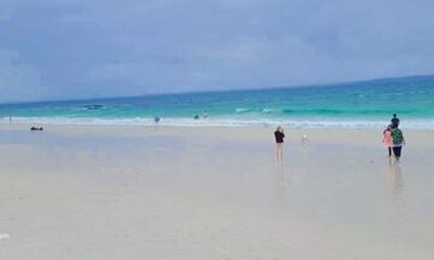 Jervis Bay Day Tour