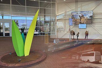 Airport Shuttle - Airport to Accommodation