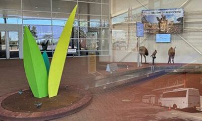 Airport Shuttle - Airport to Accommodation