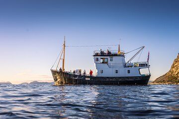 Fishing Trip in Alesund