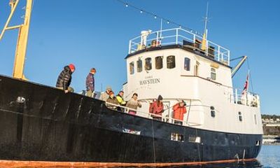 Fishing Trip in Alesund