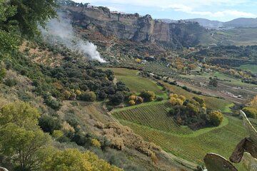 Private Tour Landscape and Wine in Ronda