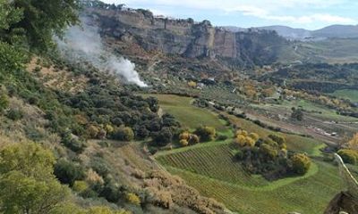 Private Tour Landscape and Wine in Ronda