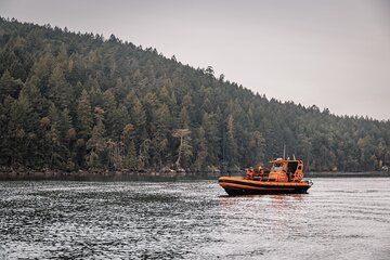 Private Whale Watching Nanaimo with Open Boat