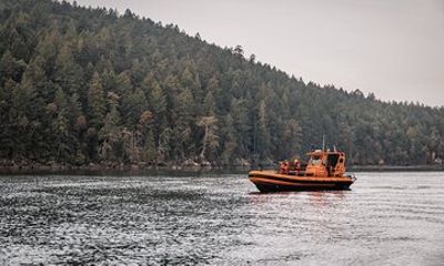 Private Whale Watching Nanaimo with Open Boat