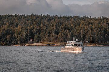 Nanaimo Private Whale Watching
