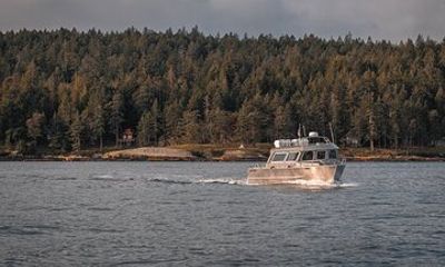 Nanaimo Private Whale Watching