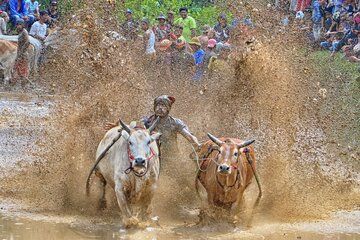 Explore West Sumatra with Private Transportation