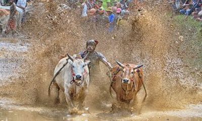 Explore West Sumatra with Private Transportation
