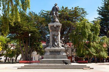 Private Shore Tour: Punta Arenas City Highlights 3 Hours