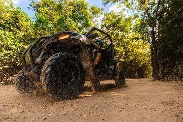 4-Hour Cancun Jungle Buggy Tour with Zipline Circuit & Cenote