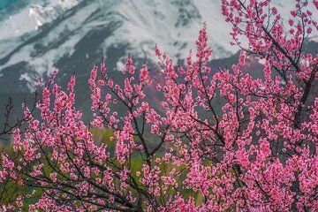 5-Day Skardu Blossom Tour: Explore Kachura, Shigar & Khaplu